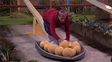 Frankie Grande Big Brother 16